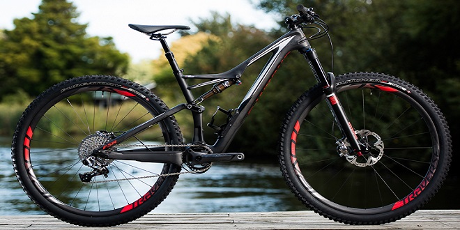 quadro stumpjumper 29