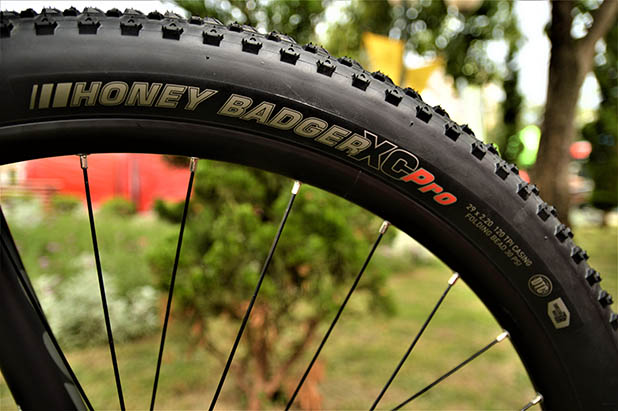 Kenda Honey Badger XC Pro 29" x 2.20" - Foto: Marcio Mecca / Seppia