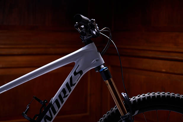 Specialized Enduro 2020