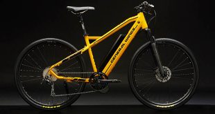 General Wings 3 Toros