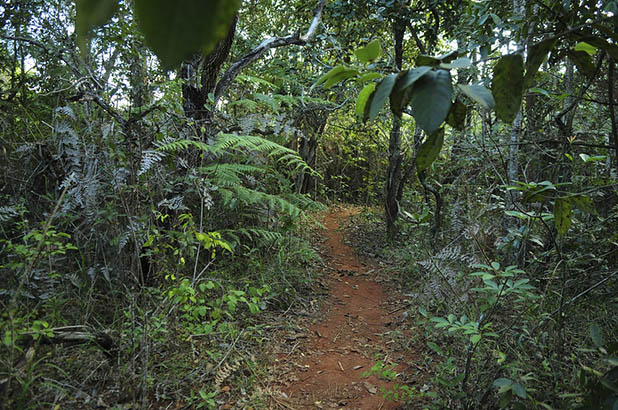 Jardim Botânico