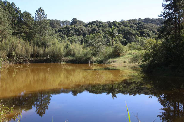 Parque Natural Municipal Varginha