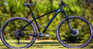 Groove anuncia redução nos preços da linha Ska